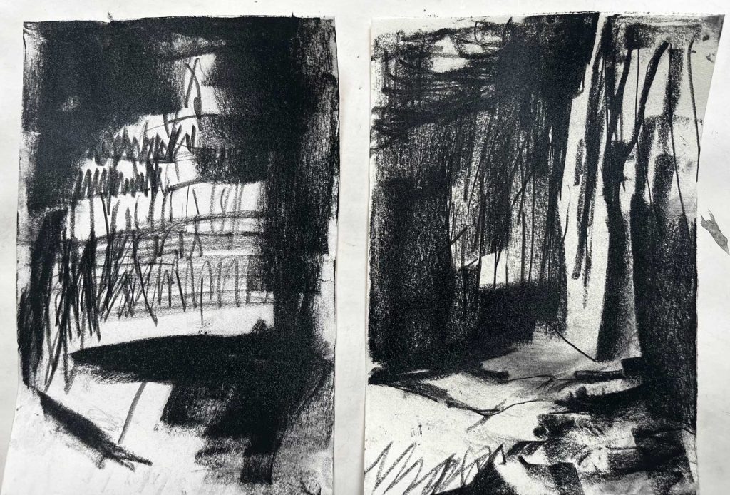 Alma Čače, Vini Bok, charcoal on paper, 2025
